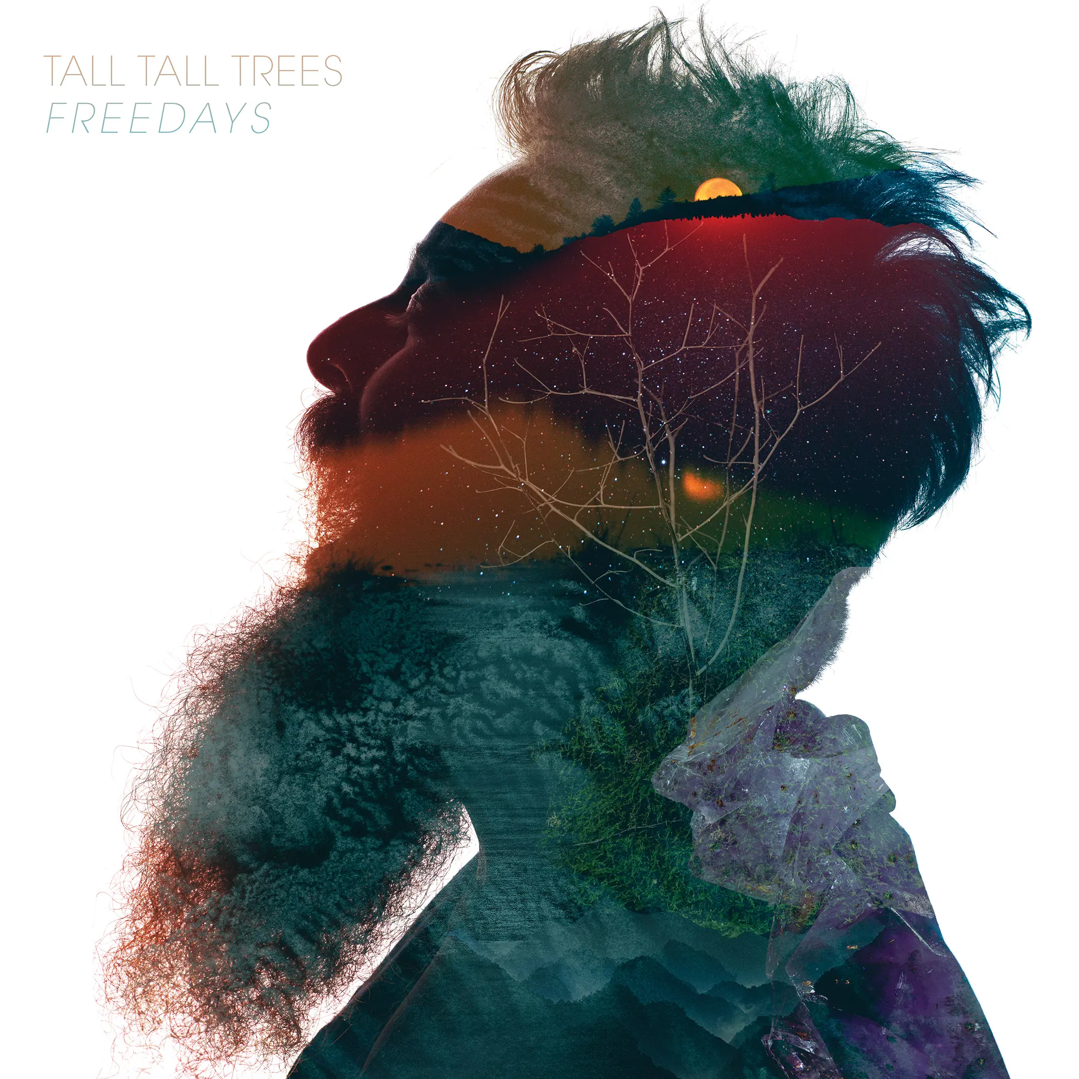 TALL TALL TREES - ENIGE NL SHOW!