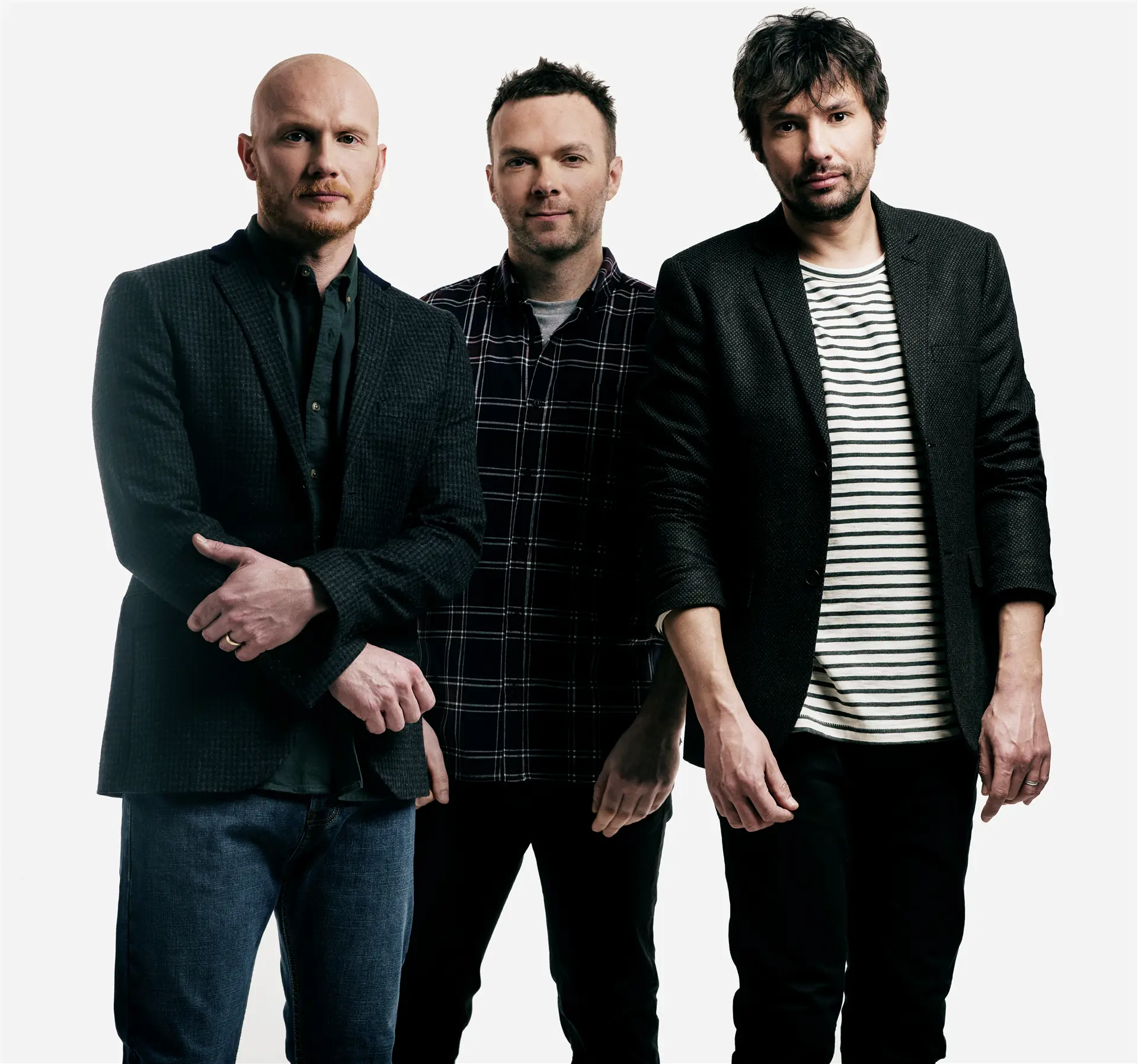 THE PINEAPPLE THIEF