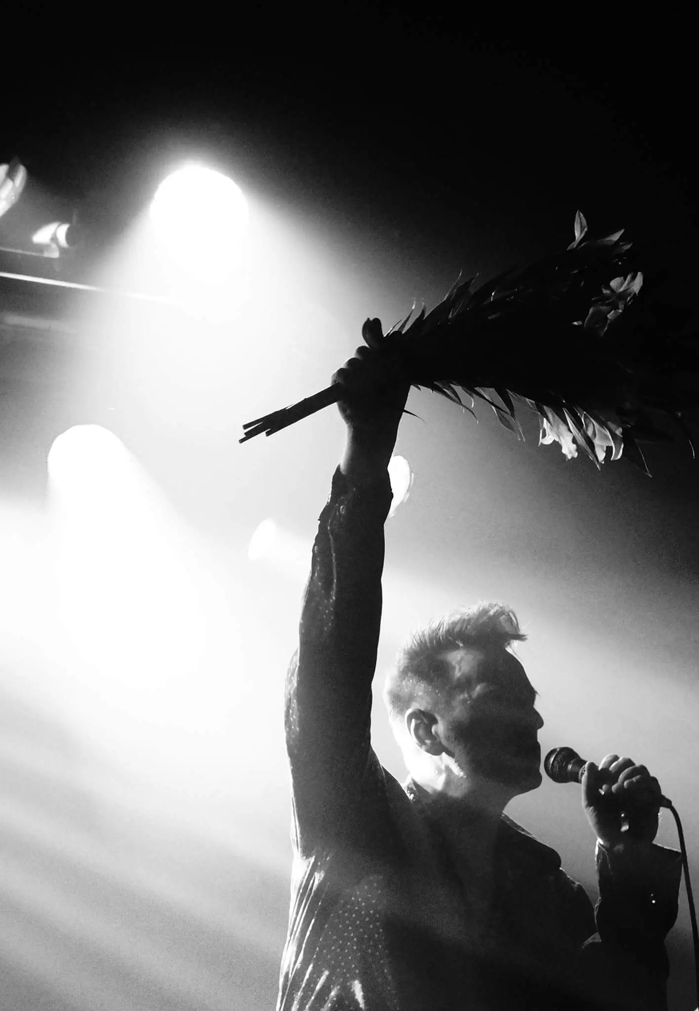 MORRISSEY INDEED