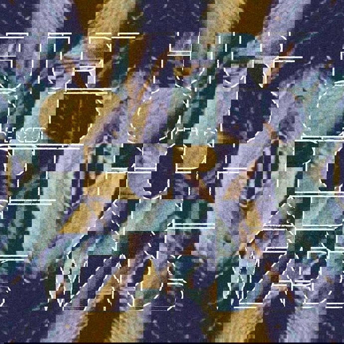 Future Old People Are Wizards